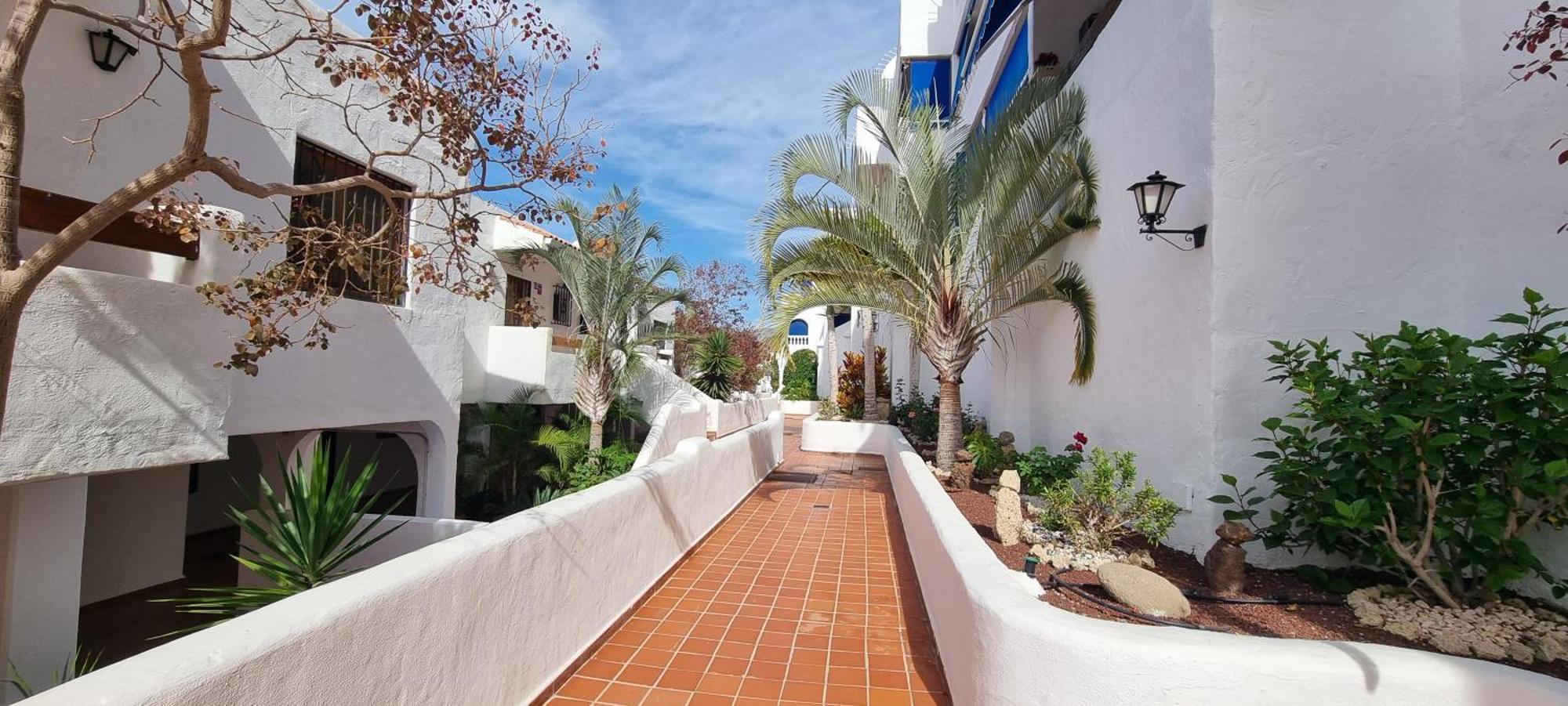 Wonderful Seaview Apartment - Los Cristianos Арона Экстерьер фото